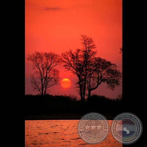 ATARDECER - Fotografía de Fernando Allen
